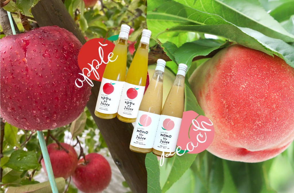 ギフト贈答用にも喜ばれる産地直送の新鮮な桃とリンゴ。人気のフルーツ農園なら高山市の「にこッと農園」。